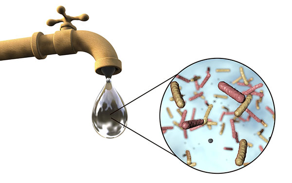 Disinfect Filtered Water
