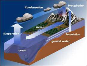 Evapotranspiration