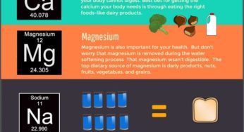 The Truth Behind Water Softener Myths