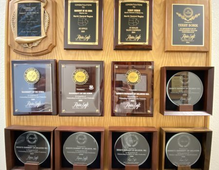 RainSoft Team Awards